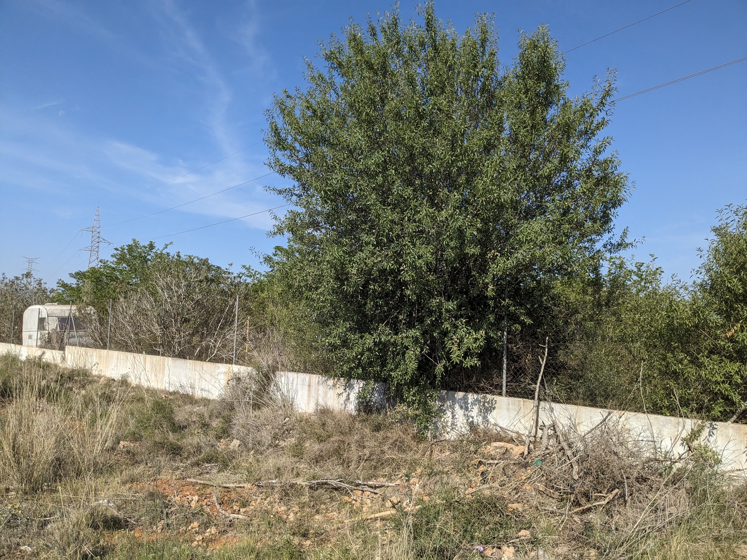 Desbroce de terreno en Vinaròs y Peñíscola