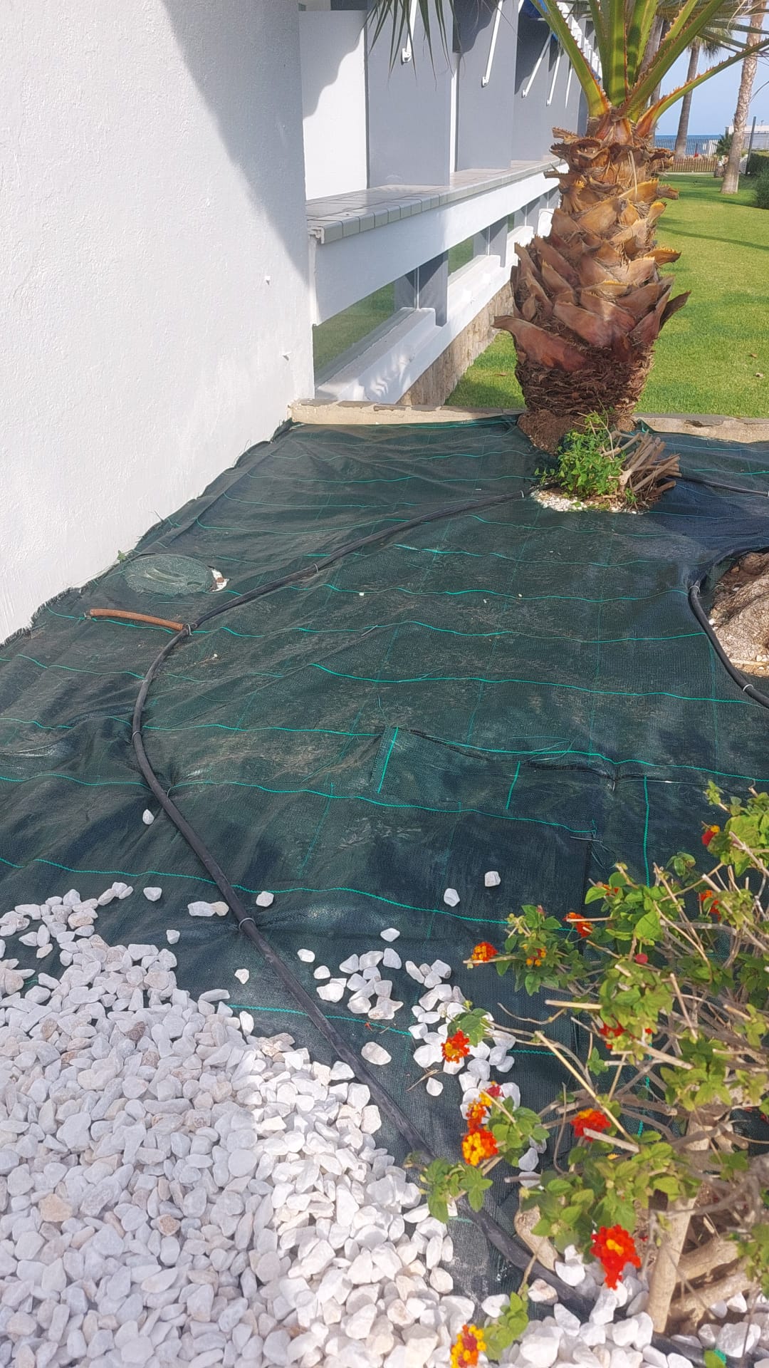 Jardines bien cuidados en Benicarló