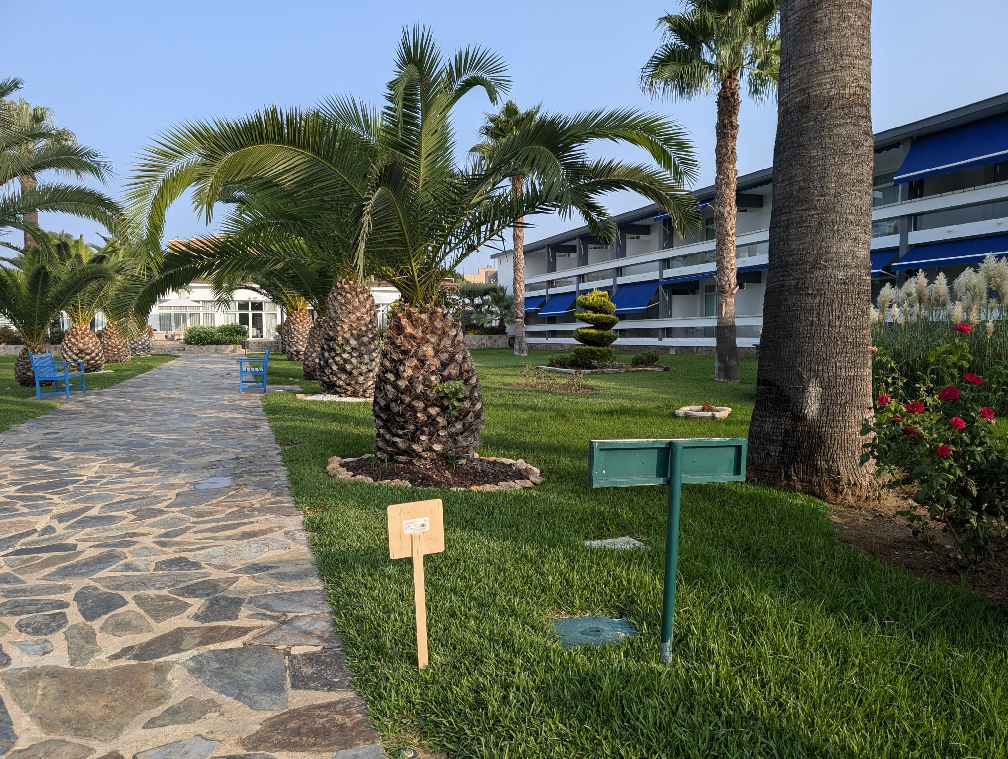 Empresa de mantenimiento de jardines en Benicarló y alrededores