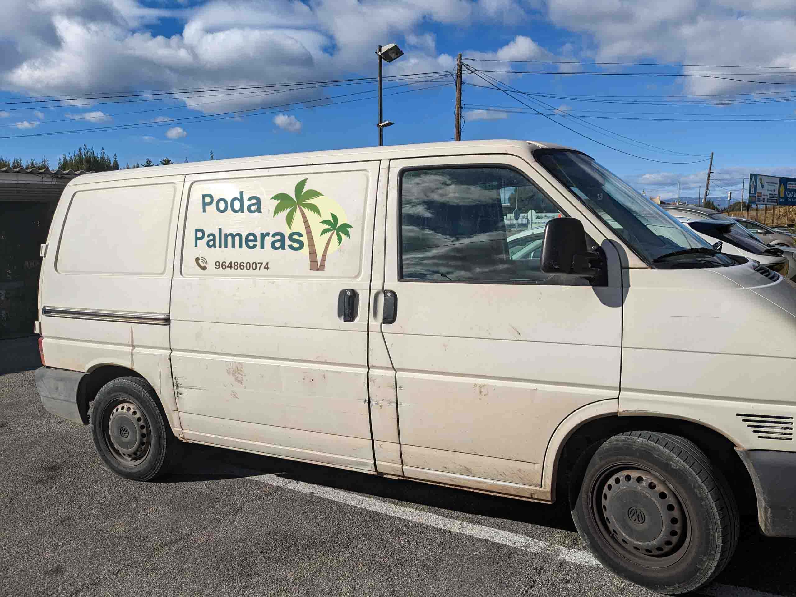 Poda de palmera en Benicarló por Aloha Jardinero